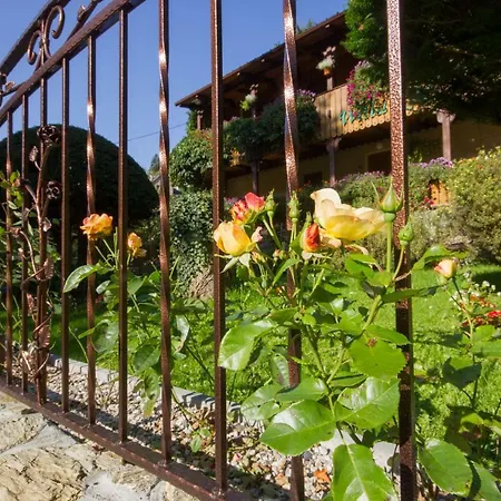 Roz W Miedzygorzu Miedzygorze