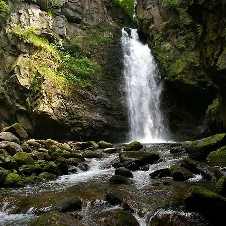 Roz W Miedzygorzu Проживание в семье