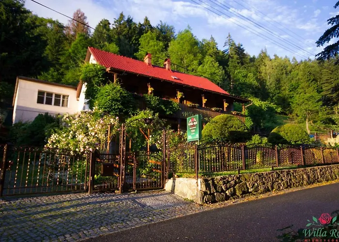 Roz W Miedzygorzu * Międzygórze