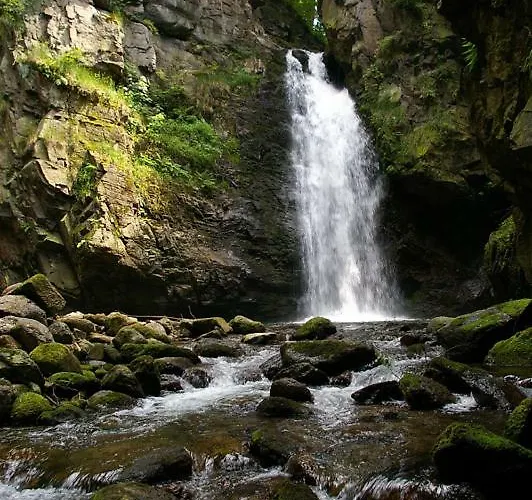 Roz W Miedzygorzu Privat bolig